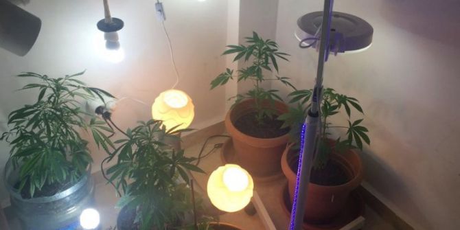 Jandarmayı Şaşkına Çeviren Uyuşturucu Baskını