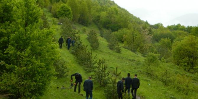 Posof’ta Uzlaşma Ormanı Oluşturuldu