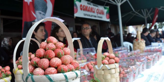 En Güzel Osmanlı Çileği’ne Ödül Verildi