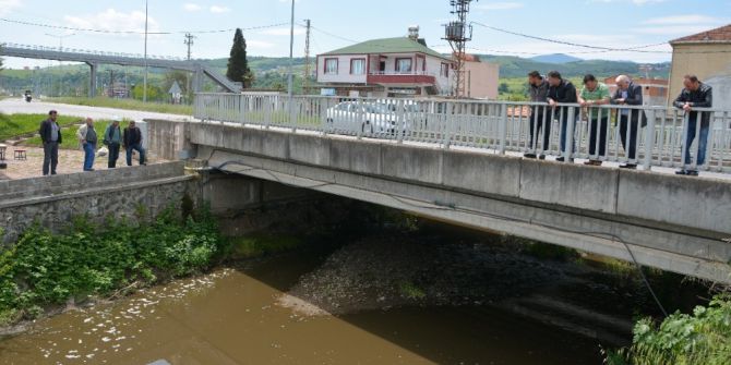 Balık Ölümleri Dereköyü Ayağa Kaldırdı