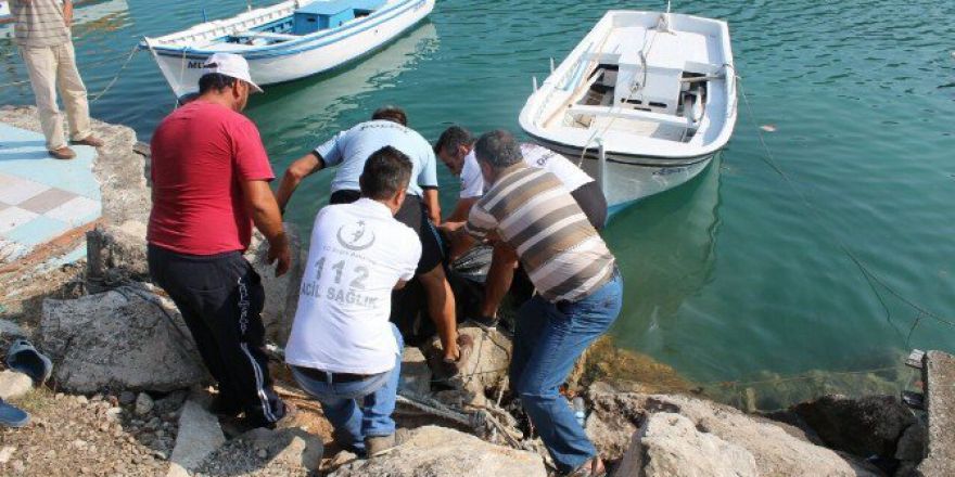 Kayıp Gencin Cesedine Ulaşıldı