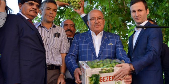 Gezende’de Erik Festivali Coşkusu