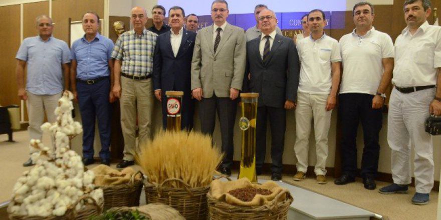 Türkiye, Üzümde Yüzde 40’lık Artışla Dünya Lideri Olacak