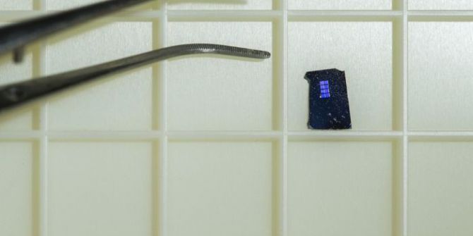 Bilim Adamları Çip İçinde Beyin Hücresi Büyüttü