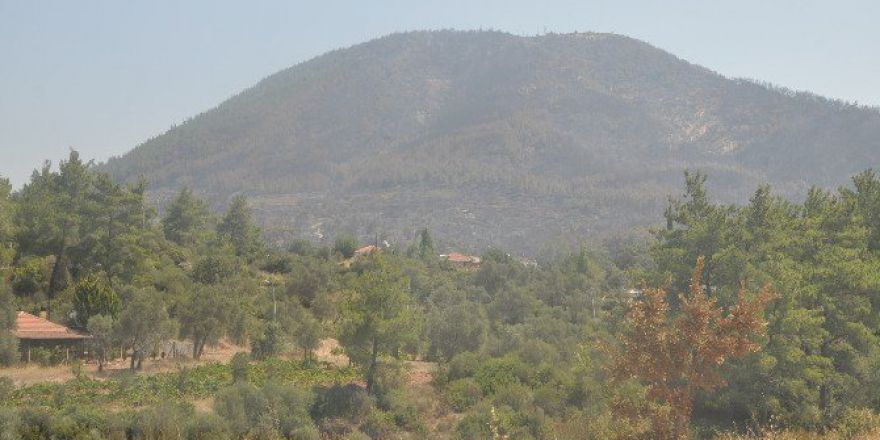 İzmir’deki Orman Yangın Devam Ediyor