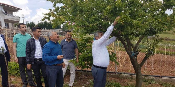 Başkan Baran Körfez’in Köylerini Ziyaret Etti