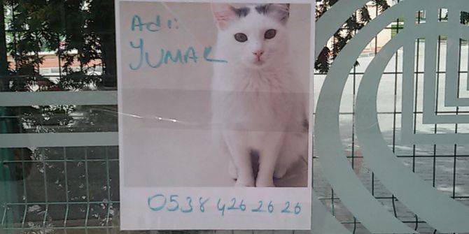 Edirne’de “Yumak” İlanla Aranıyor