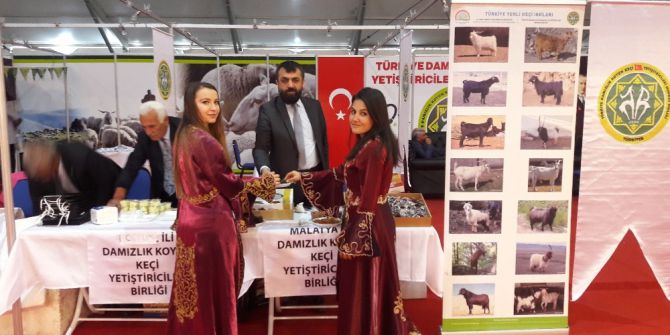 Akın, Çobanlar Fuarını Değerlendirdi