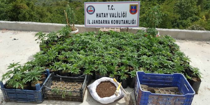 Hatay’da Kaçakçılık Operasyonu