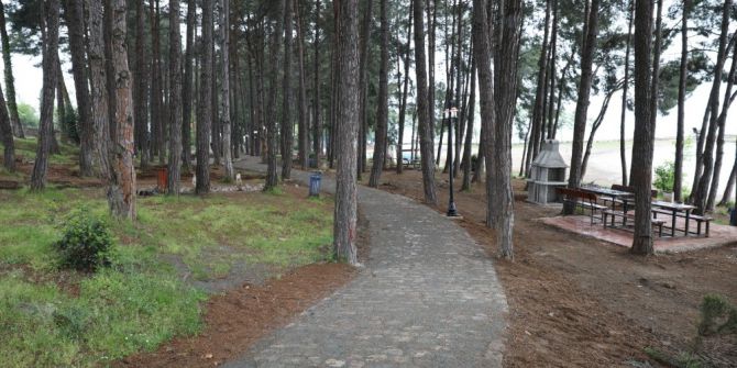 Çamlık Mesire Alanı’nın Çehresi Değişti
