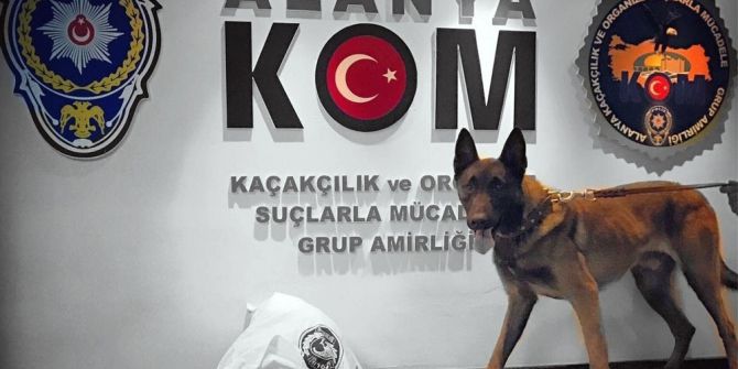 Otomobildeki Uyuşturucu Polis Köpeği ’Esco’ya Takıldı
