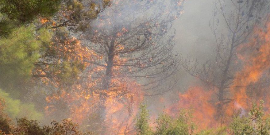 Çocukların Oyunu Bir Mahalleyi Yok Edecekti