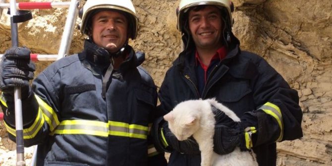 Afacan Kediyi İtfaiye Kurtardı