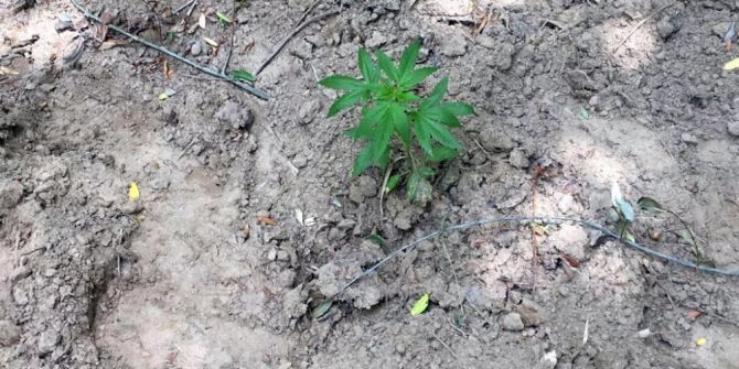 Manisa’da Zehir Adası