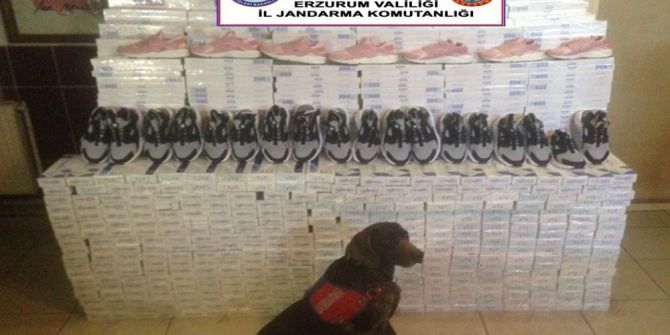 Horasan’da 54 Bin Paket Kaçak Sigara İle 100 Çift Spor Ayakkabısı Ele Geçirildi