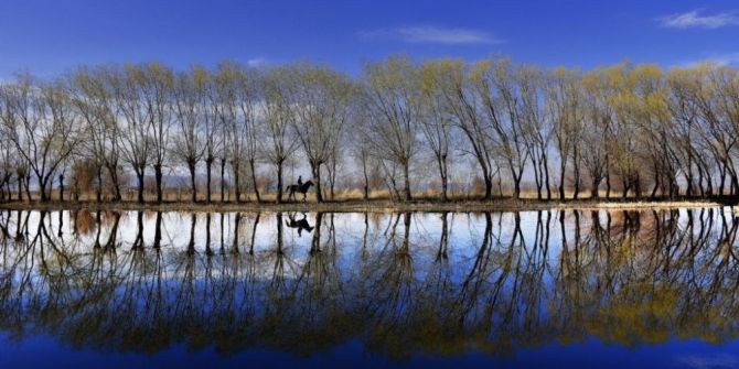 Fotoğraf Yarışması Sonuçlandı