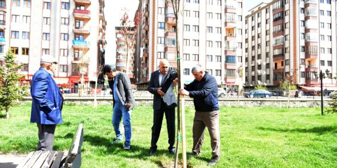 Korkut, Çocukların İlgi Odağında
