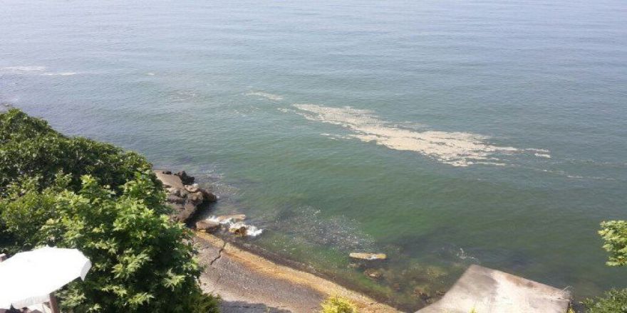 Denizdeki Köpüklenmenin Nedeni Açıklandı