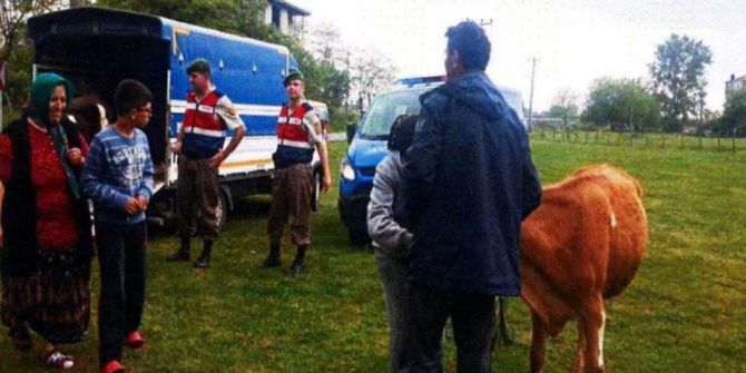 Ordu’da Hayvan Hırsızlığına 1 Tutuklama