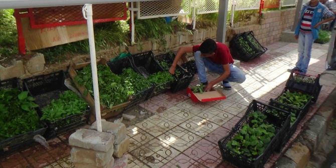 Kulp’ta Fideler Satışa Sunuldu