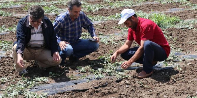 Dolu Elazığ’ın 82 Köyünde Zarara Yol Açtı