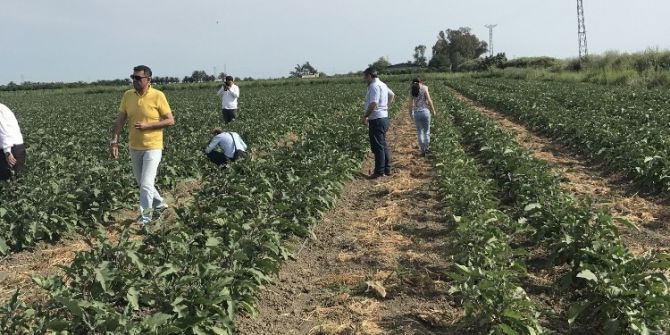 Rus Denetim Uzmanları, Türkiye’deki Üretim Sahalarını İnceledi