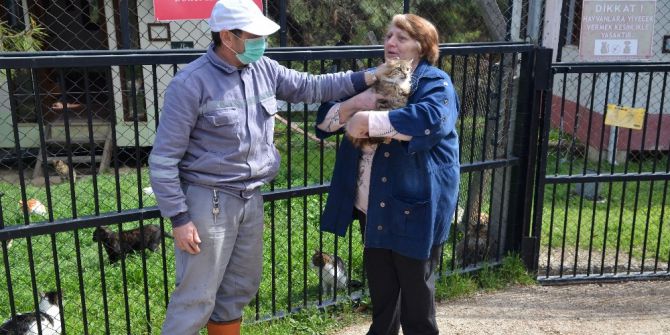 Osmangazi’de Sokak Hayvanları Sahipsiz Kalmıyor