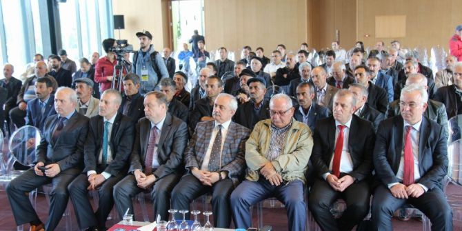 Bilim İnsanlarından ‘Kırmızı Et’ Ve ‘Tarım Politikası’ Eleştirisi