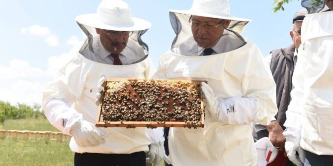 Balıkesir Arıcılıkta Bir Numara Olacak