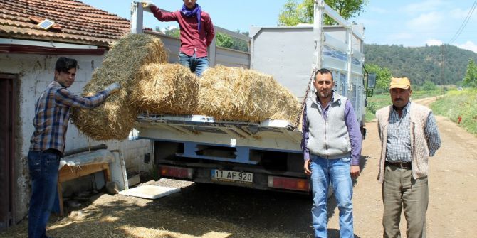 Saman Fiyatları Cep Yakıyor