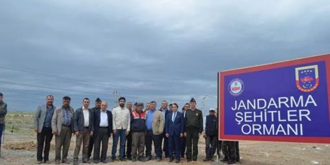 Beylikova’da Jandarma Şehitler Ormanı Kuruldu