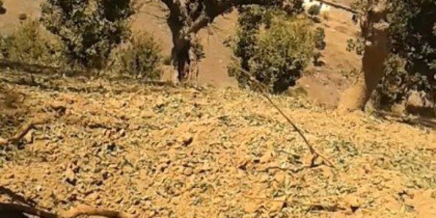 Karayoluna Tuzaklanan Eyp İmha Edildi