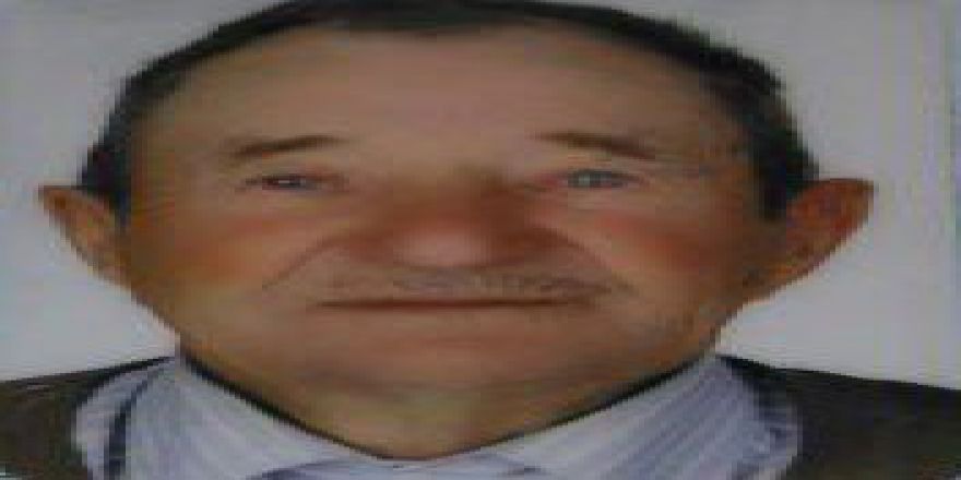 Otomobilin Çarptığı Yaşlı Şahıs Can Verdi