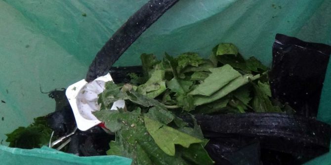 Şüpheli Çantadan Asma Yaprağı Çıktı