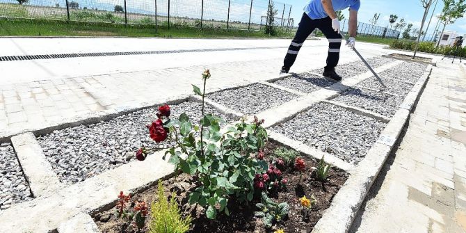 Büyükşehir Sokak Hayvanlarının Hatırasını Yaşatıyor