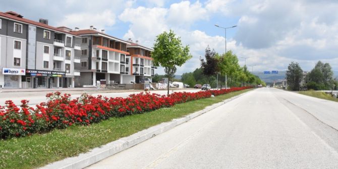 Düzce Rengarenk Hale Geldi