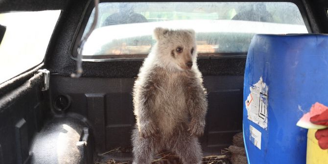’Gece’ Yuvasına Kavuştu