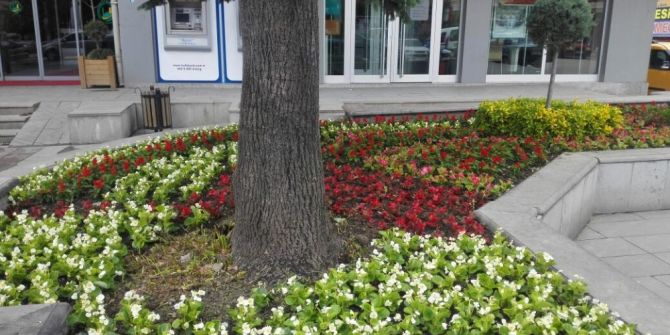 Sungurlu Çiçek Açtı