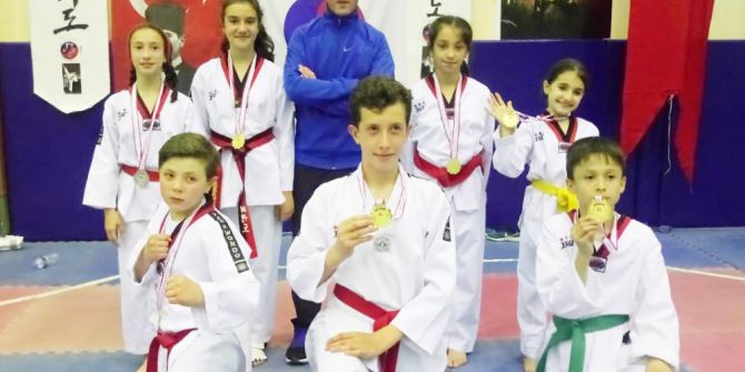 Taekwondo Dereceleri Sevindirdi