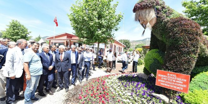 Çiçeğin Başkenti Bayındır’da Yüzler Gülüyor