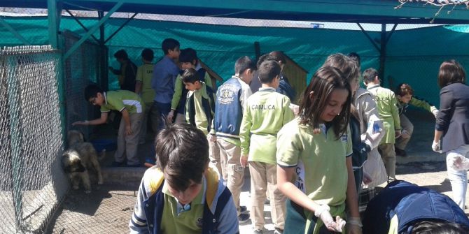 Öğrencilere Uygulamalı Hayvan Bakımı