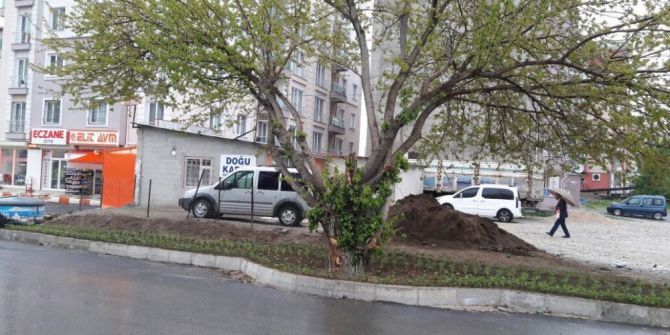 İpekyolu Belediyesi, Asırlık Dut Ağacı İçin Yolun Yönünü Değiştirdi