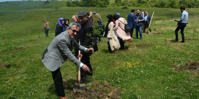 249 Şehidin Anısına 249 Fidan Dikildi
