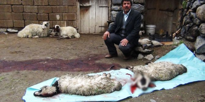 Erciş’te Sel Felaketinde 26 Kuzu Telef Oldu