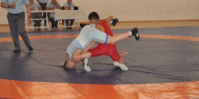 Türkiye 1. Lig Güreşleri