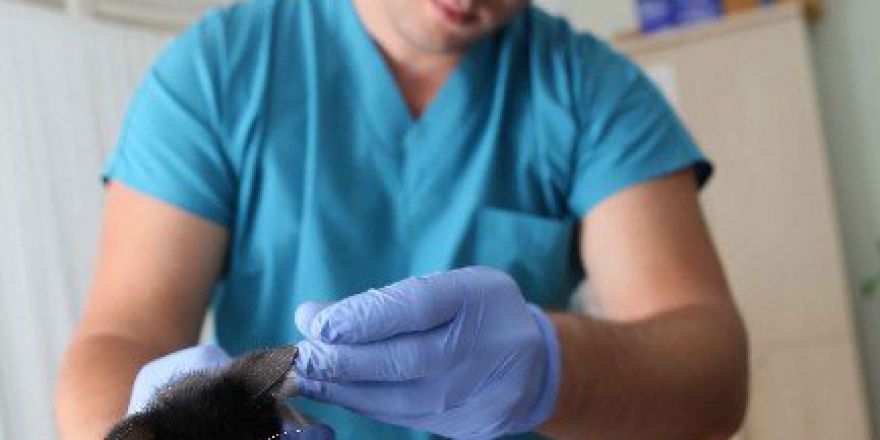 Bayraklı’da Sokak Hayvanlarına Yakın İlgi