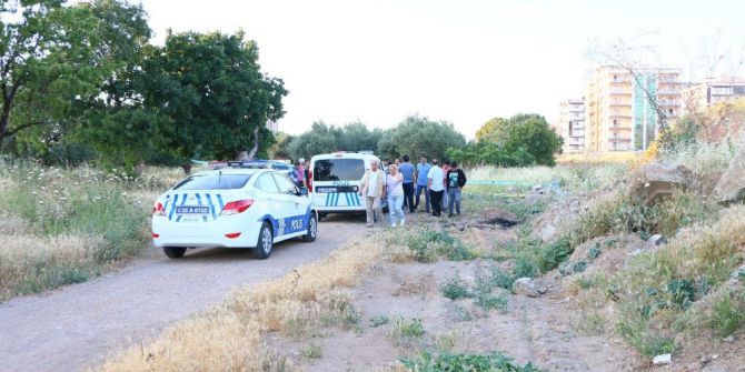 İzmir’de Zeytinlik Alanda Erkek Cesedi Bulundu