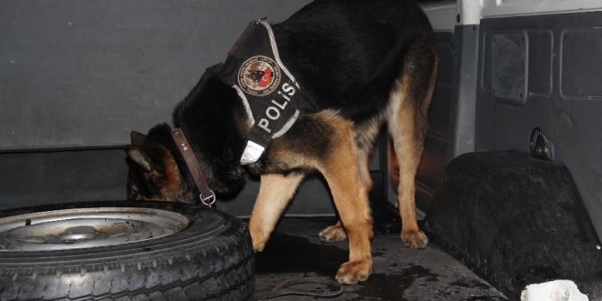 Sivas’ta 263 Noktada Huzur Türkiye Uygulaması