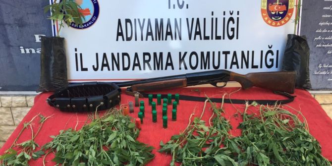 Jandarmadan Uyuşturucu Operasyonu