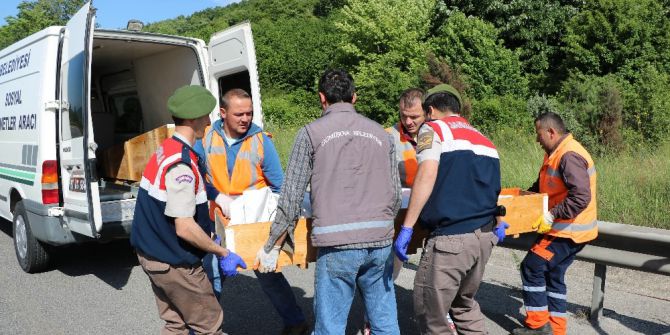 Lastiği Değiştirmek İçin Emniyet Şeridinde Bekleyen Tıra Otomobil Çarptı: 4 Ölü